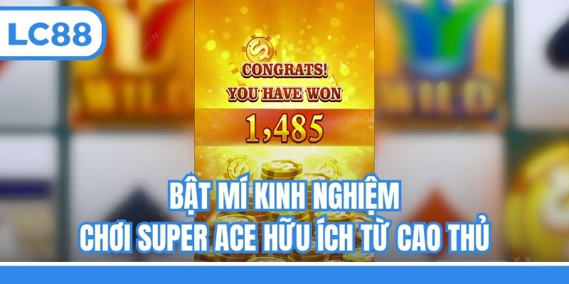 Bật mí kinh nghiệm chơi Super Ace hữu ích từ cao thủ