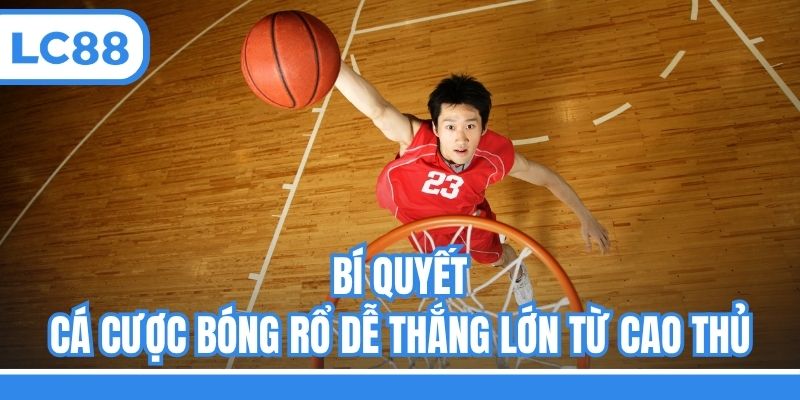 Bí quyết cá cược bóng rổ dễ thắng lớn từ cao thủ
