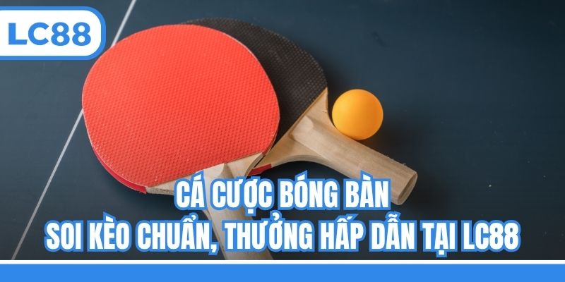 Cá Cược Bóng Bàn - Soi Kèo Chuẩn, Thưởng Hấp Dẫn Tại LC88