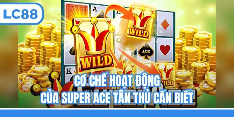Cơ chế hoạt động của Super Ace tân thủ cần biết