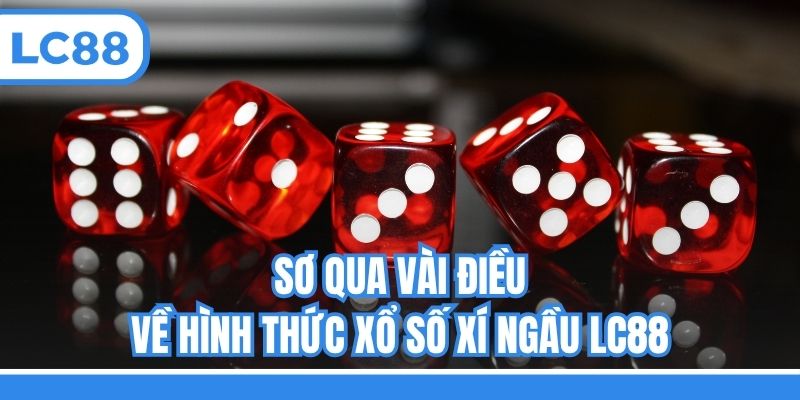 Sơ qua vài điều về hình thức xổ số Xí ngầu LC88