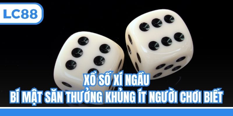 Xổ Số Xí Ngầu - Bí Mật Săn Thưởng Khủng Ít Người Chơi Biết